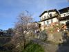 DSC_0417.jpg